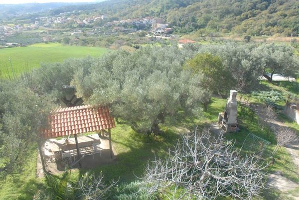 terreno agricolo in vendita a Gasperina