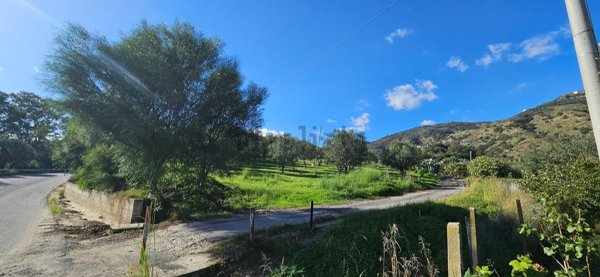 terreno edificabile in vendita a Gasperina