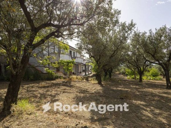 casa indipendente in vendita a Gasperina