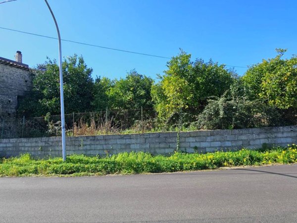 casa indipendente in vendita a Gasperina in zona Pilinga