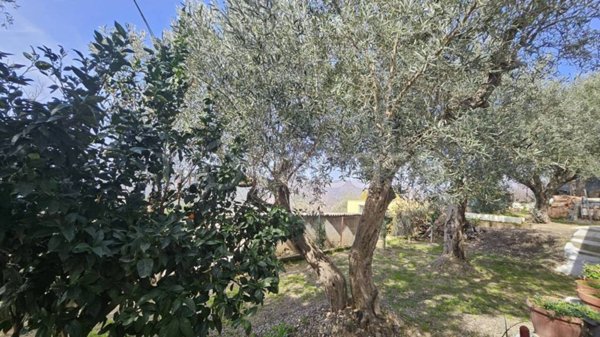 casa indipendente in vendita a Gimigliano