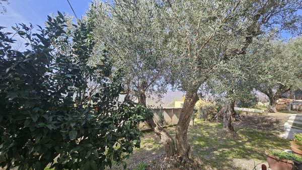 monolocale in vendita a Gimigliano