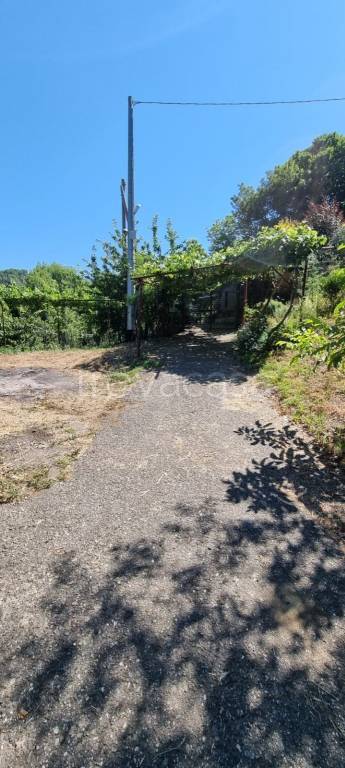 terreno agricolo in vendita a Gimigliano