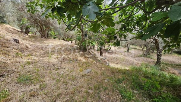 appartamento in vendita a Gimigliano