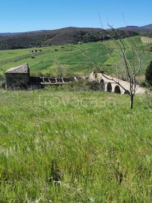 terreno agricolo in vendita a Girifalco