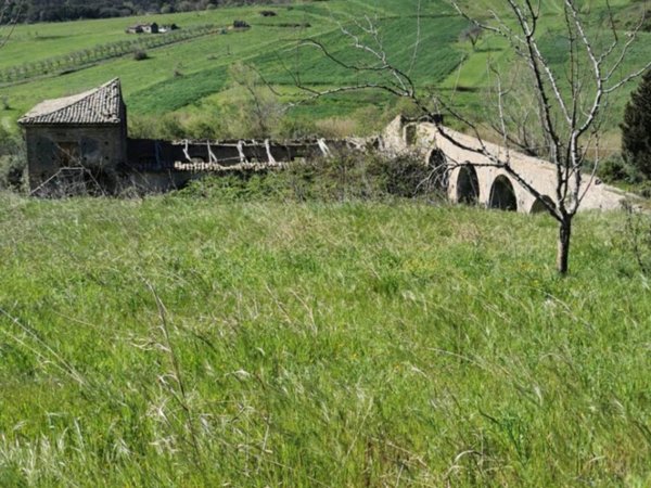 terreno agricolo in vendita a Girifalco