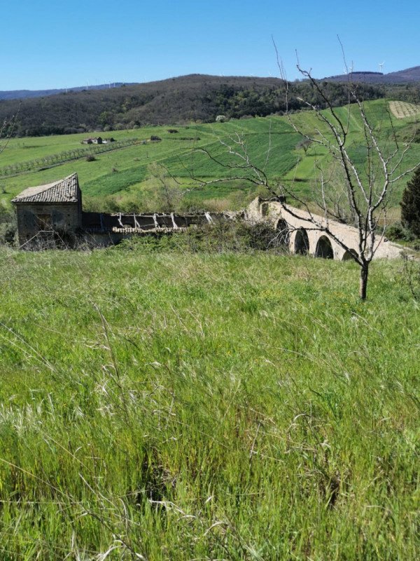 azienda agricola in vendita a Girifalco