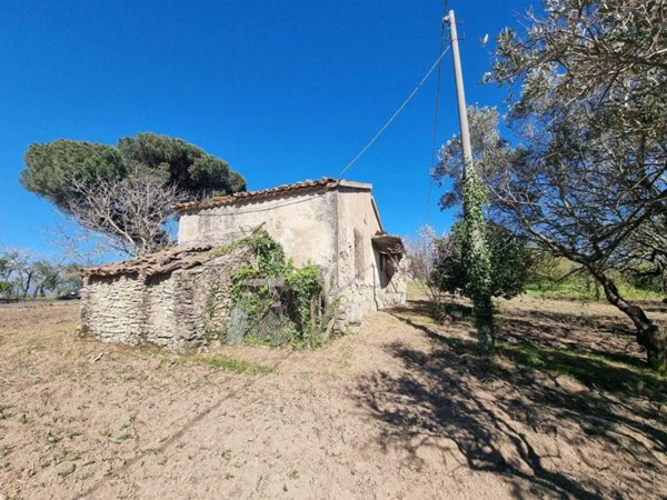 terreno agricolo in vendita a Girifalco