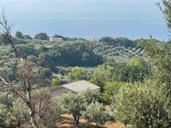 terreno agricolo in vendita a Gizzeria