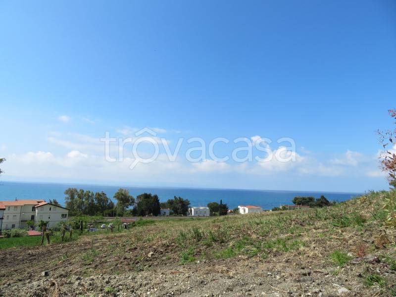 terreno agricolo in vendita a Gizzeria