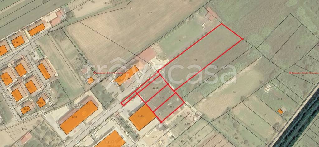 terreno agricolo in vendita a Gizzeria in zona Mortilla