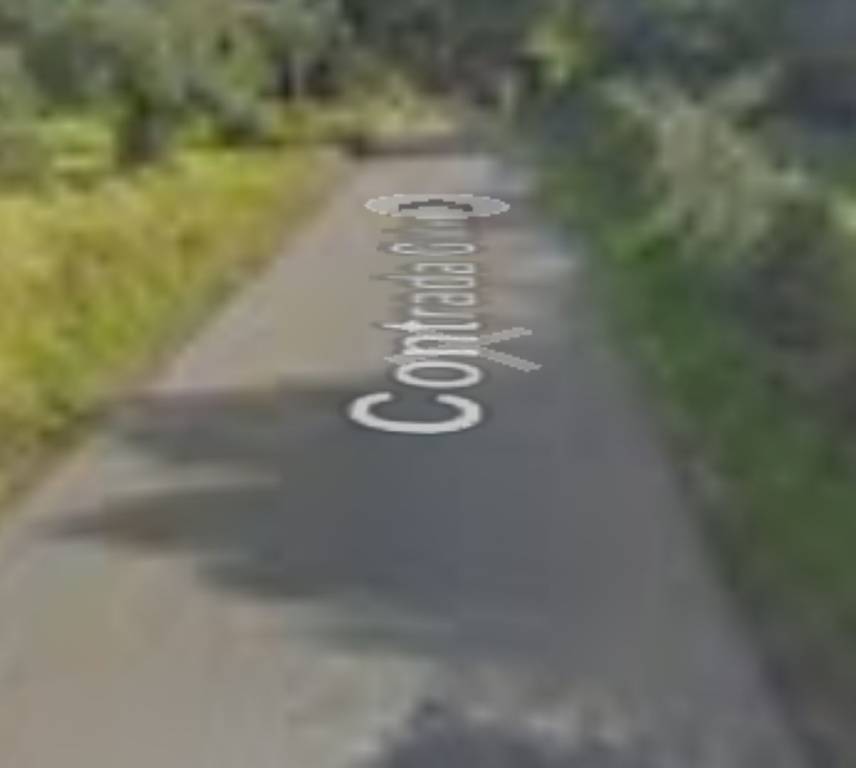 terreno agricolo in vendita a Gizzeria