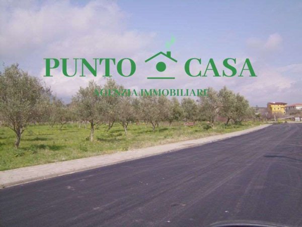 immagine annuncio 0 di 10