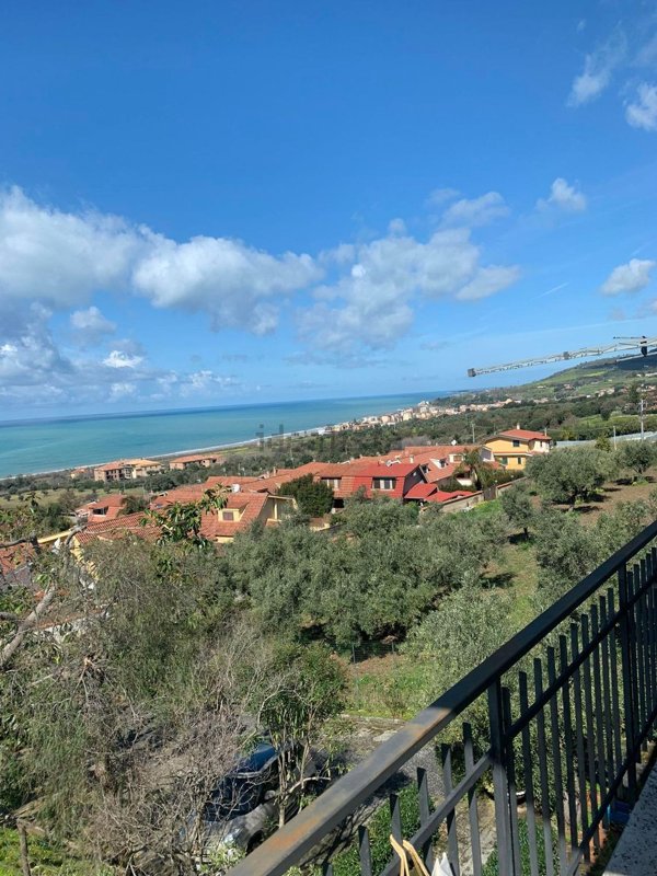 immagine annuncio 0 di 15