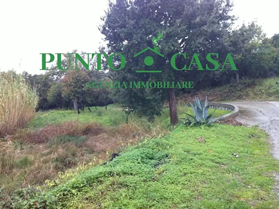 terreno edificabile in vendita a Gizzeria