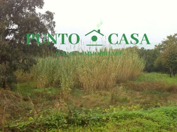 terreno edificabile in vendita a Gizzeria