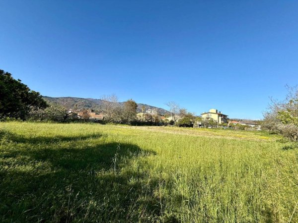 terreno agricolo in vendita a Gizzeria in zona Mortilla