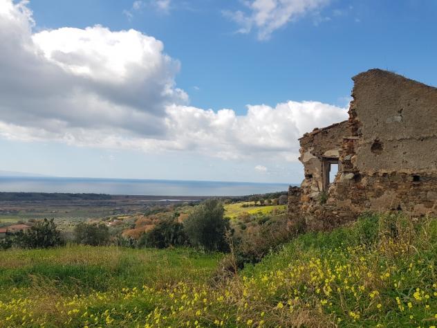 terreno agricolo in vendita a Gizzeria