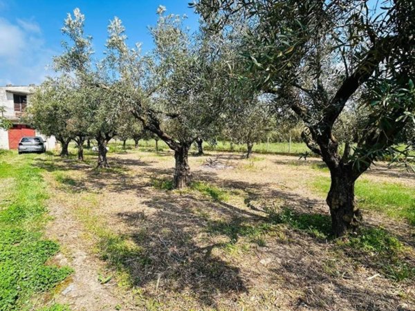 casa indipendente in vendita a Gizzeria in zona Mortilla