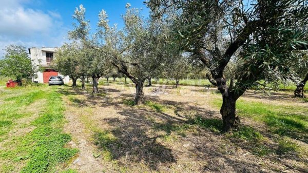 appartamento in vendita a Gizzeria in zona Mortilla