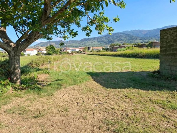 terreno agricolo in vendita a Gizzeria in zona Mortilla