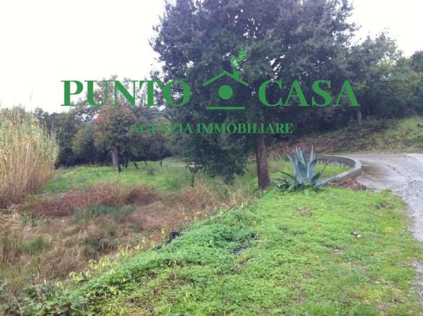 terreno in vendita a Gizzeria
