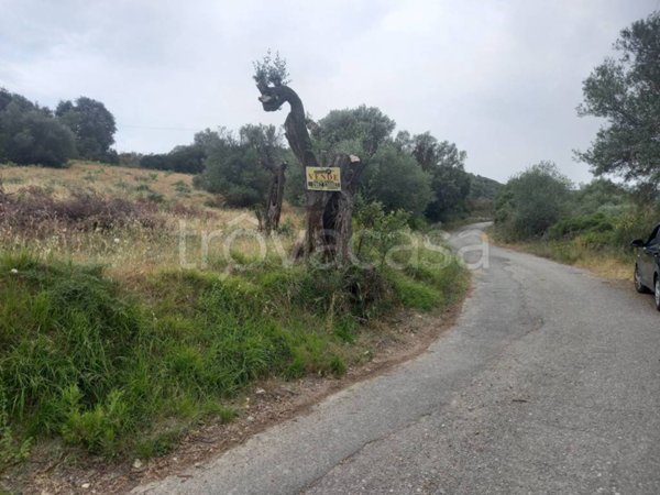terreno agricolo in vendita ad Isca sullo Ionio