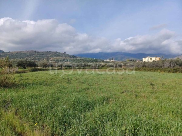 terreno agricolo in vendita ad Isca sullo Ionio