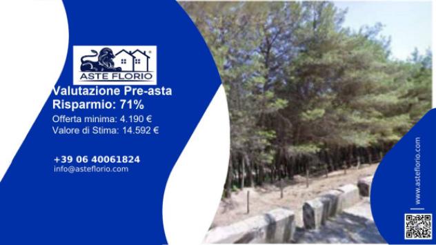 terreno agricolo in vendita a Magisano
