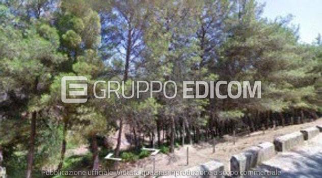 terreno agricolo in vendita a Magisano