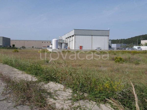 terreno agricolo in vendita a Maida