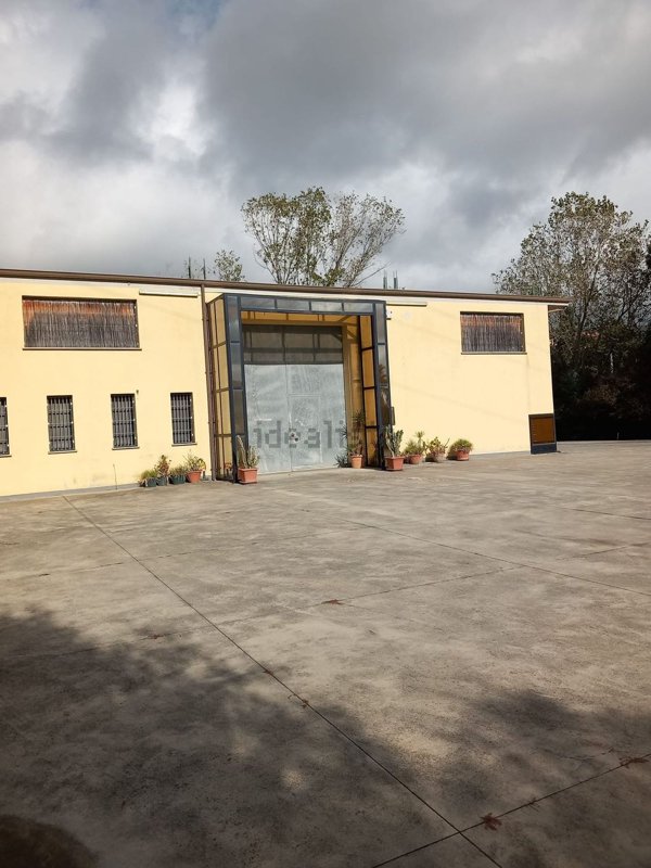 casa indipendente in vendita a Marcellinara