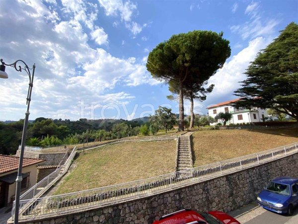 casa indipendente in vendita a Marcellinara