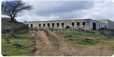 locale commerciale in vendita a Marcellinara