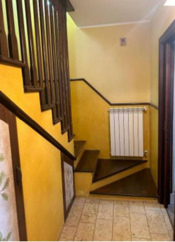 casa indipendente in vendita a Marcellinara