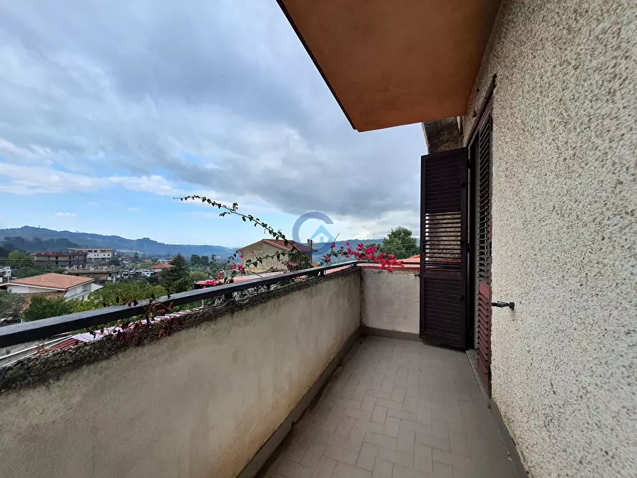 casa indipendente in vendita a Marcellinara