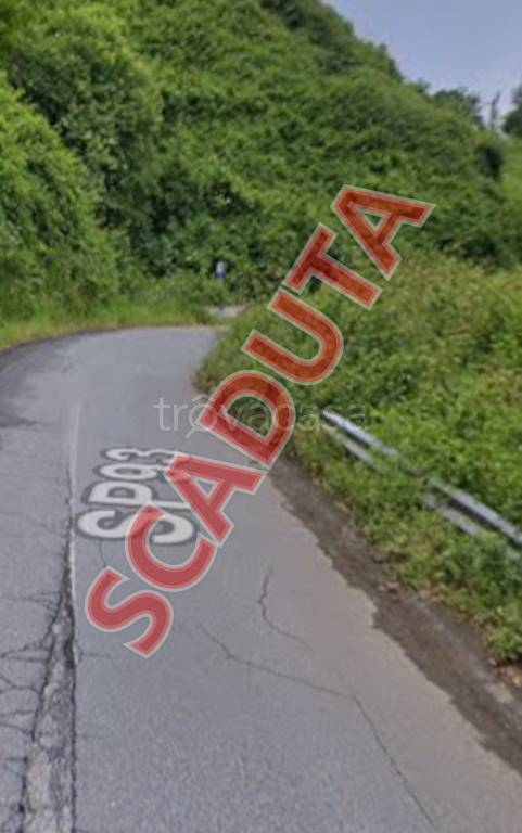 terreno agricolo in vendita a Martirano Lombardo in zona Santa Croce