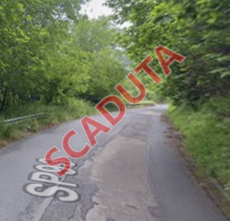 terreno agricolo in vendita a Martirano Lombardo in zona Santa Croce