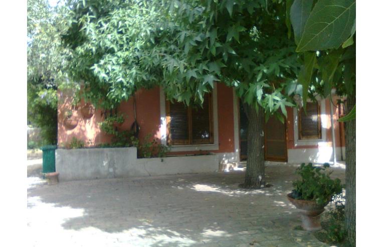 casa indipendente in vendita a Montauro in zona Costaraba