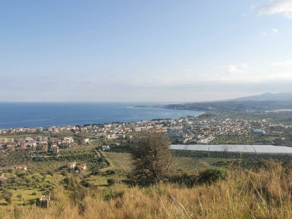 terreno agricolo in vendita a Montauro