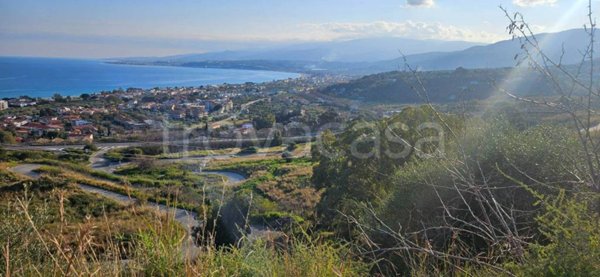 terreno agricolo in vendita a Montauro