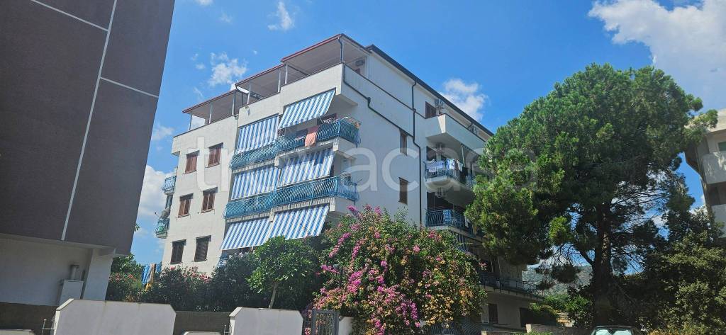 appartamento in vendita a Montauro