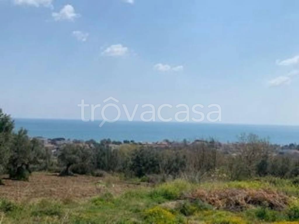 terreno agricolo in vendita a Montauro