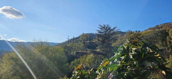 terreno edificabile in vendita a Montauro