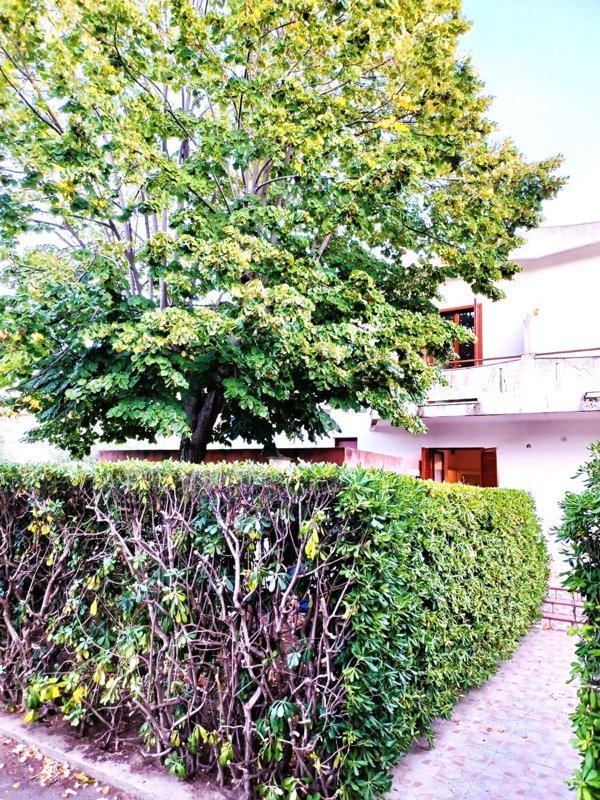 casa indipendente in vendita a Montauro in zona Calalunga/Pietragrande