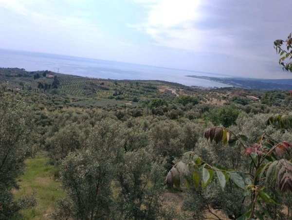 terreno agricolo in vendita a Montauro in zona Costaraba
