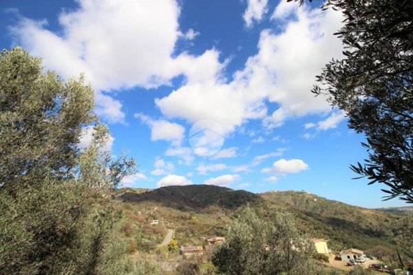 terreno agricolo in vendita a Montepaone