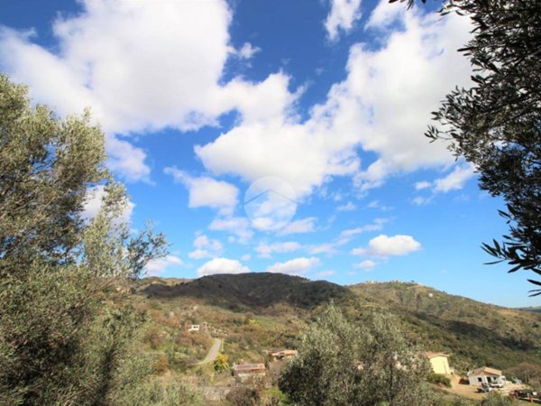 terreno agricolo in vendita a Montepaone