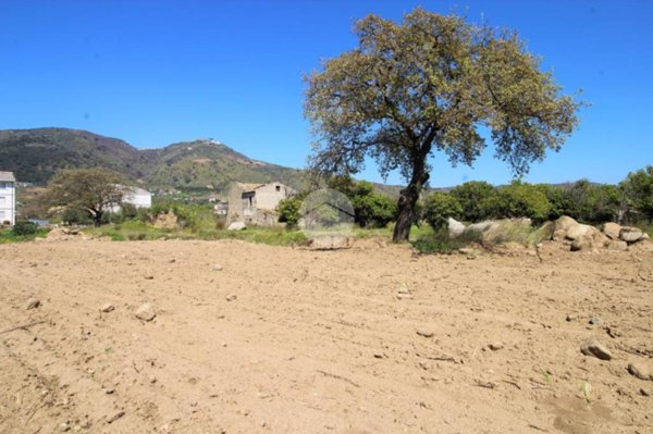 terreno agricolo in vendita a Montepaone in zona Montepaone Lido