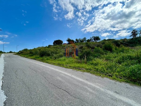 terreno agricolo in vendita a Montepaone in zona Montepaone Lido